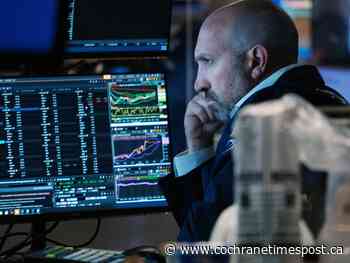 Real assets going to be good spot for investors - Cochrane Times Post