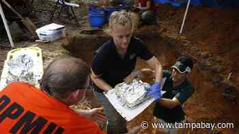 Erin Kimmerle digs for justice - Tampa Bay Times