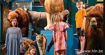 Kinderen leggen “beestig” parcours af in MOU | Oudenaarde | hln.be - Het Laatste Nieuws