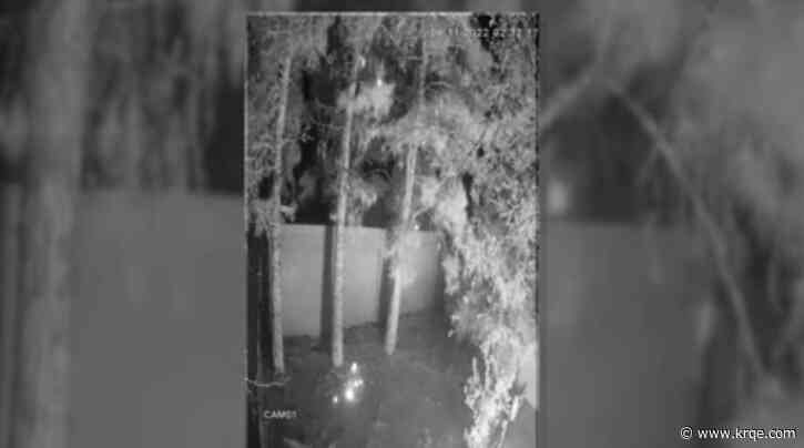 Man accused of throwing Molotov cocktail asks to be released from jail