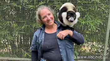 Rising food prices hit zoos feeding exotic animals specialised vegetable diets