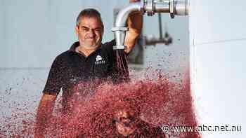 In Australia's largest wine-producing region, it's hard to buy a local bottle in pubs and clubs