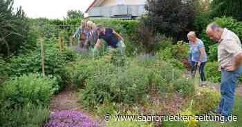 Tag der offenen Gartentür im Kreis Merzig-Wadern - Saarbrücker Zeitung