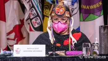 Chiefs pass resolution to review Assembly of First Nations finances