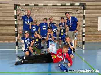 JSG Fredenbeck/Stade marschiert zum Turniersieg - Handball - Tageblatt-online