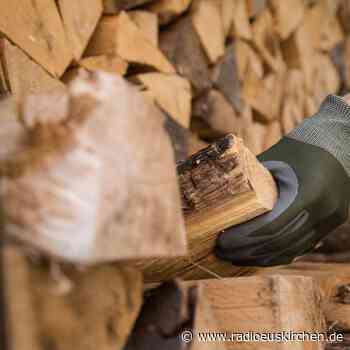 Knappes Gas: Jetzt boomen die Brennholz-Fakeshops - radioeuskirchen.de