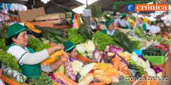 Los alimentos en Loja no son accesibles a toda la comunidad - Diario Crónica (Ecuador)