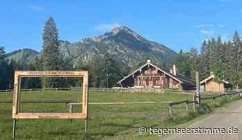 Almen sind nicht für Eventisierung der Alpen da - Tegernseer Stimme