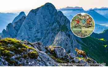 Wie verhalte ich mich in den Allgäuer Alpen richtig? Regeln, Bußgelder, Gipfelknigge - Allgäuer Zeitung