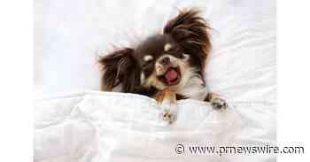 Bark by the Bay Pet Package At Casa Munras Garden Hotel &amp; Spa