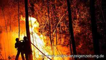 Frankreich: Feuerwehr kämpft gegen ausufernde Waldbrände