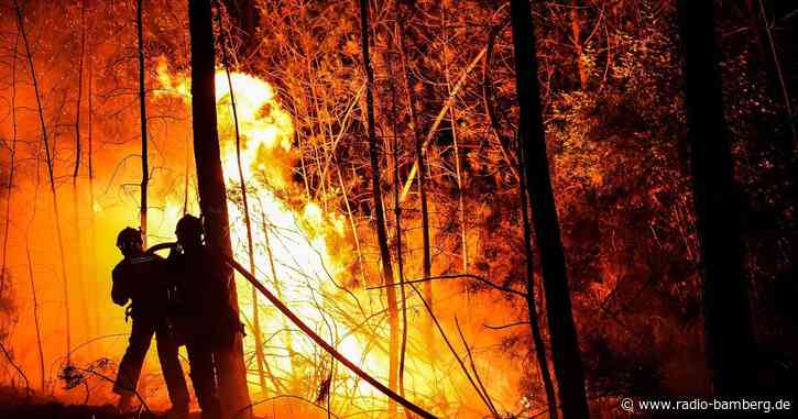 Frankreich: Feuerwehr kämpft gegen ausufernde Waldbrände