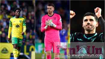 Norwich City: Chris Sutton exclusive column on pre-season - PinkUn