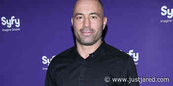 Joe Rogan Reveals One Guest He Turned Down From His Podcast