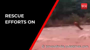 Three people fall in river near Manali Highway, one rescued - Times of India