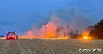 100 Einsatzkräfte bekämpfen loderndes Feuer auf Stoppelfeld | Lokale Nachrichten aus Detmold - Lippische Landes-Zeitung