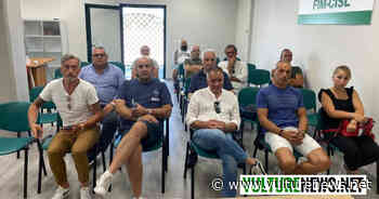 Stellantis di Melfi: "preoccupazione sullo stop alla vendita dei motori endotermici dal 2035". Ecco le ultime notizie - vulturenews.net