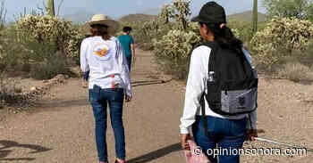 Rastreadoras de Caborca descubren restos humanos en la carretera a Sonoyta - Opinión Sonora
