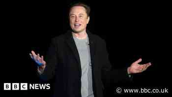 Elon Musk became father of twins last year, say reports