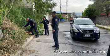 “Encobijado” moviliza a corporaciones en Cuernavaca; al final resultó ser un perrito - Diario de Morelos