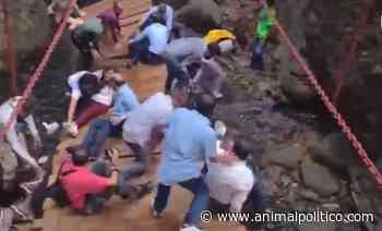 Cae un puente colgante en Cuernavaca; reportan decenas de heridos - Animal Político