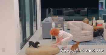 Kathy Griffin, 61, Enjoys Malibu Life With Her Dogs - SurvivorNet