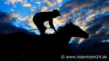 Tragischer Reit-Unfall in Tirol: Frau (52) stirbt an schweren Verletzungen