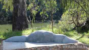 Albury-Wodonga walking trail celebrates Aboriginal culture - ABC News