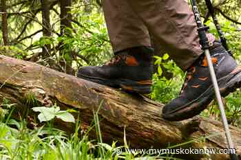 Wilson's Falls Trail redevelopment project underway - My Muskoka Now