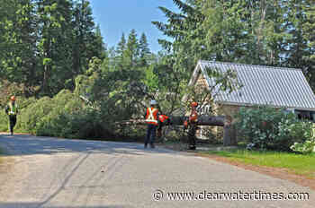 LETTER: Making way for Dutch Lake trail – Clearwater Times - Clearwater Times