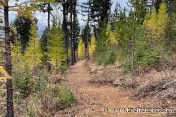 Elkford Trails Alliance puts on contest to name new trail network – The Free Press - The Free Press