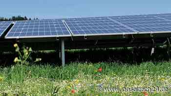 Atomkraft bremst Solarstrom aus: Bilanz der Bürgerkraftwerke – Kritik an Energie-Politik