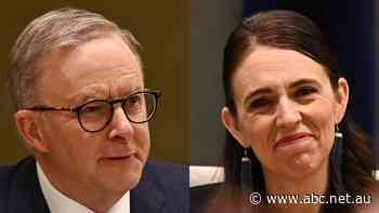 New Zealanders could be given voting rights in Australia