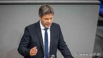 Wirtschaftsminister platzt der Kragen | Habeck rechnet knallhart mit Merkel ab! - BILD
