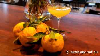 Restaurant spending $100 per bottle on yuzu juice finds an experimental farmer next door