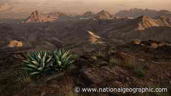 Legends of Texas come alive along this wild frontier - National Geographic