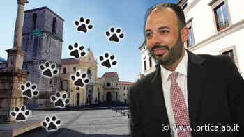 Quando non puoi convincerli confondili: Solofra e la lezione di cultura istituzionale e politica di Livione “micio micio bau bau” - Orticalab