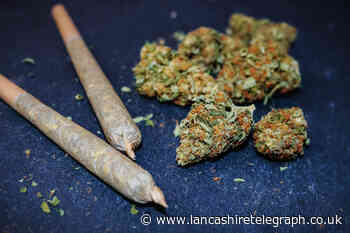 Police sniffer dog found cannabis on Adlington man