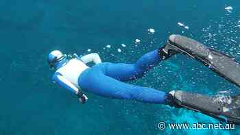 SA tourists 'travelling back to the sunshine', as operators see international visitors return