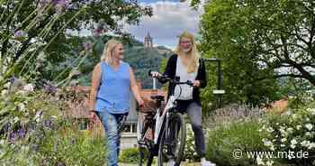 Das Team Klimaschutz wächst: Neues Personal im Rathaus - Mindener Tageblatt