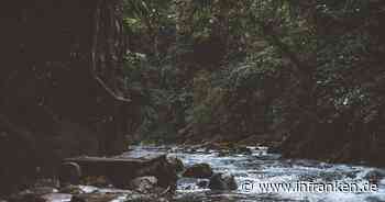 Coburg: Stadt warnt wegen "extrem trockenem Sommer" - diese Handlung ist strikt verboten