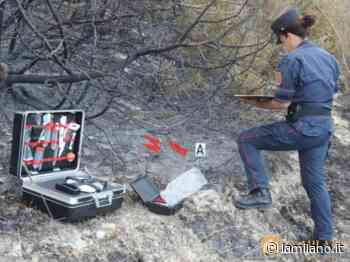 Acqui Terme, incendio sul Bormida ad aprile: fermato un uomo - La Milano