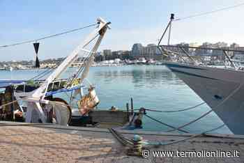 «Finalmente l'Europa ci ha dato ascolto, le imprese di pesca avranno ulteriori strumenti» - Termoli Online