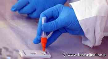 Termoli, Isernia, Campobasso: Covid: nel Molise 500 contagi e 242 guariti - Termoli Online