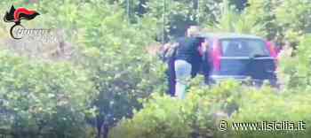Scappa dall’arresto dei carabinieri: ritrovato a Militello in Val di Catania CLICCA PER IL VIDEO - ilSicilia.it