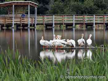 Edmonton weather: The same as yesterday and the days before that - Edmonton Journal