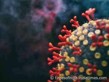 Coronavirus new variant, BA.2.75: What do we know so far? - Times of India