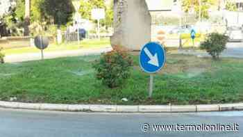 Non sarà eccessivo? - Termoli Online