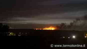 Vasto rogo tra Termoli e Guglionesi, intervenuti i Vigili del fuoco - Termoli Online