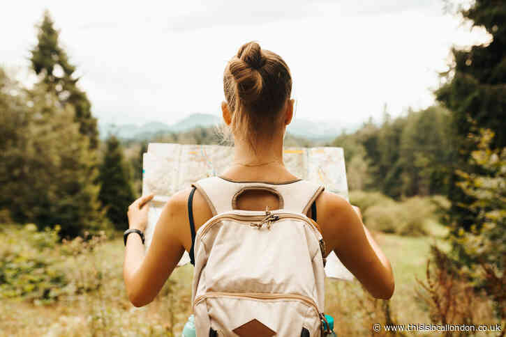 Plan And Pack For The Holidays
